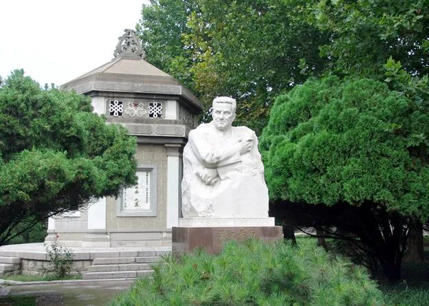 图像 图像